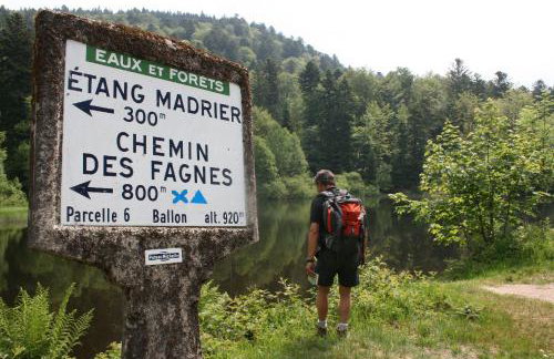 Gite le GINKGO 50 M2 - Foto 47