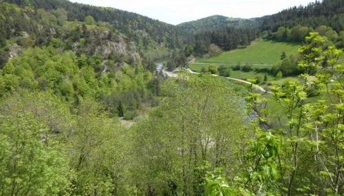 Ancien presbytère avec 3 chambres au pied d'une forteresse médiévale - FR-1-582-113 - Foto 4