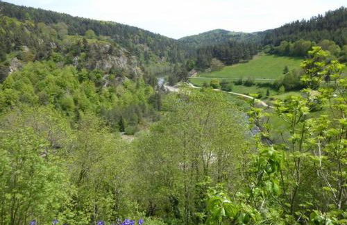 Ancien presbytère avec 3 chambres au pied d'une forteresse médiévale - FR-1-582-113 - Foto 4
