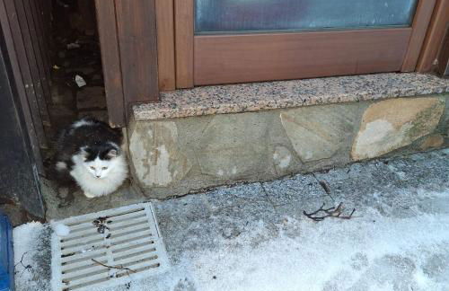 Il Rifugio di Greta - Foto 21