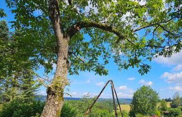 Landhof Rothenberg - Foto 9