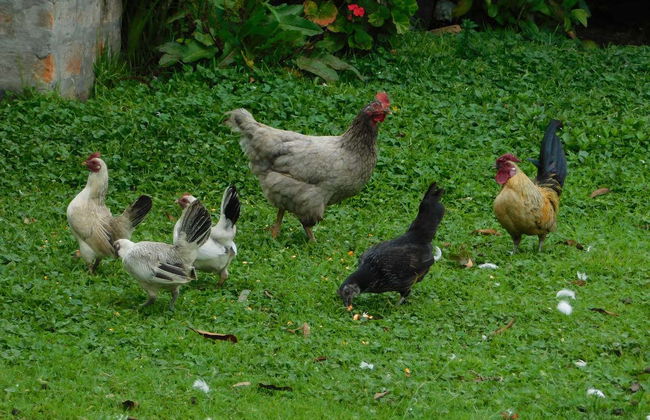 Senderismo por el bosque de Quero - Foto 5