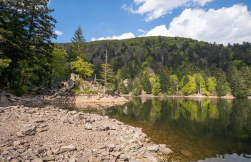 Le Chalet du Tanet spa sauna terrasse en Alsace - Foto 69