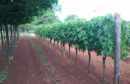 Apartment Ana - Foto 20