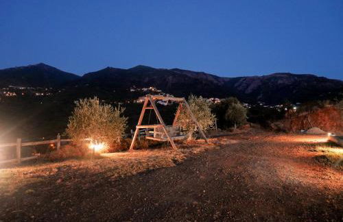 APICULTEUR - Foto 14