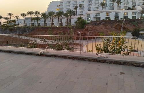 Adeje300, Playa Paraíso - Foto 46