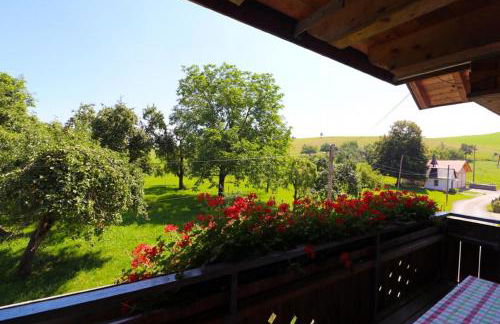 Ferienwohnungen Berger - Foto 19