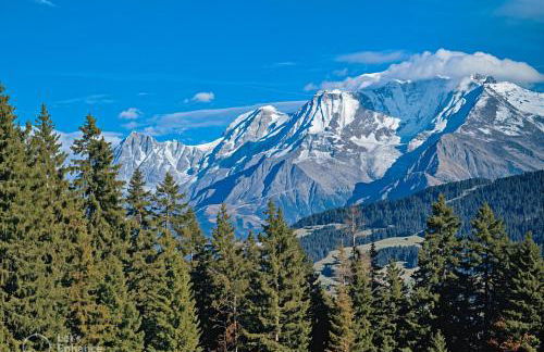 Ecrin cosy, calme, terrasse, nature et MontBlanc - Foto 37