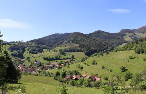 Haus Belchenwiese - Foto 14