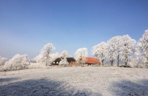 Hoheluft am Wittensee Apt 2 - Foto 23