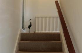 The Haven at Talysarn - Foto 3