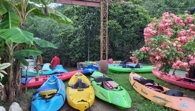 Kayaks en Manuel Antonio