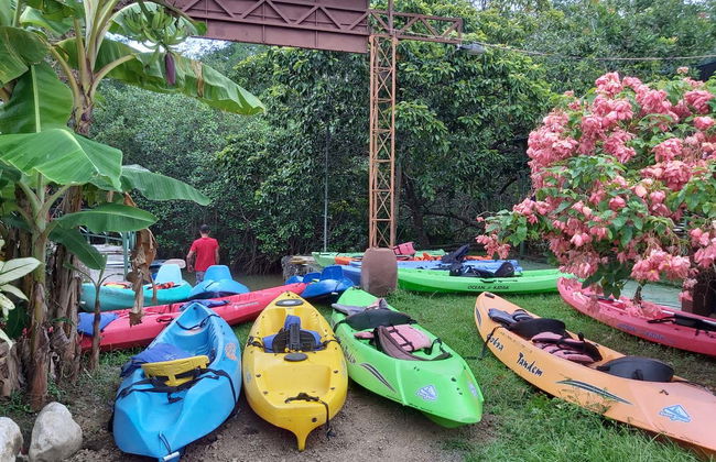 Tour por los manglares de Manuel Antonio - Foto 3