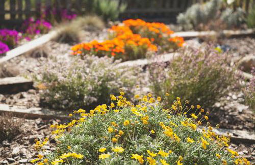 MASIA BARTOMEU Rural house between vineyards 2km from the beach - Foto 29