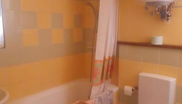 Fico d'india - Foto 4