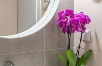 The HostMaster Ethereal Scene - Photo 32