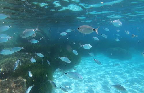 Villa Sweet Simius - Photo 71