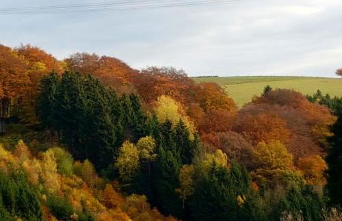 Ferienhaus mit Ausblick - Foto 23