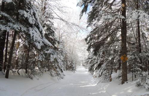 Mountain Retreat - Photo 27