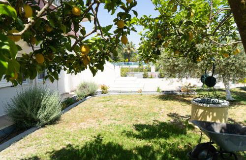 Haroula Apartments - Foto 35