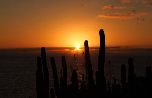 Villas Las Cercas - Photo 77