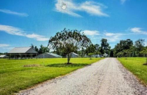 Hidden Stables on Chancey Pond Rentals, LLC - Foto 19