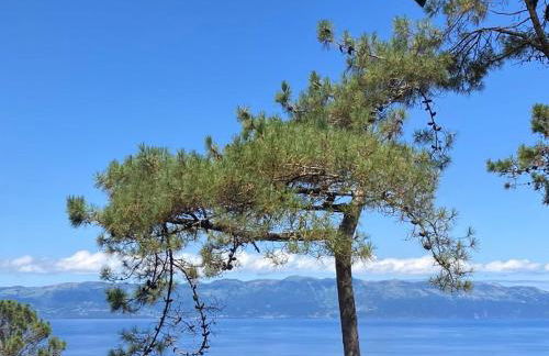 Casinha Kevin - Photo 33