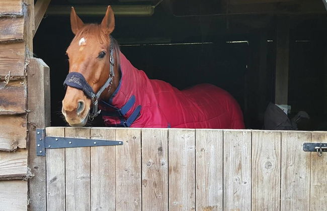 17th Century Watermill - Foto 13