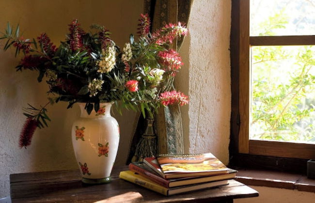 Molino Rio Alajar - Photo 72