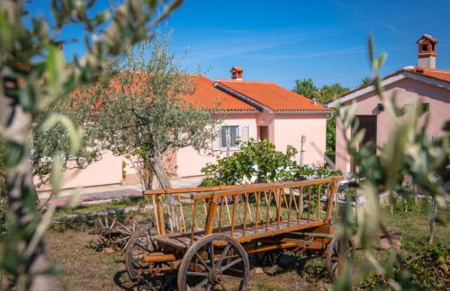 Breg Ivanovci - Three Bedroom Villa with Swimming Pool - Photo 33