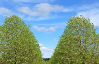 Shepard's Delight - Foto 21