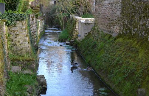 Gîte de charme proche du Zoo Beauval et Châteaux - Photo 39