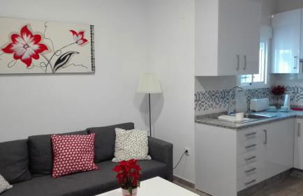 Apartamento Centro Sol Plazuela - Foto 2