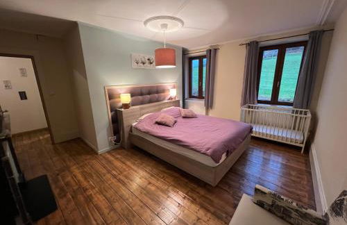 Gîte de charme jusqu'à 14 personnes, Proche du lac de Gérardmer - Foto 15