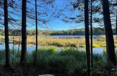 Huge Cabin, Whiteface, Hot Tub, Sauna & Game Room - Foto 44