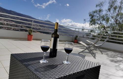 Pico Barcelos - Funchal - Foto 8