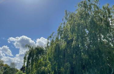 Orchard View Lodge - Foto 19