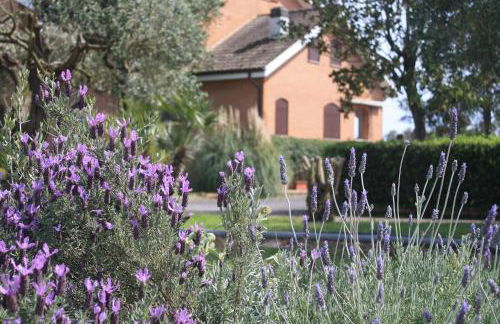 Appartamenti La Cicadea - Foto 21