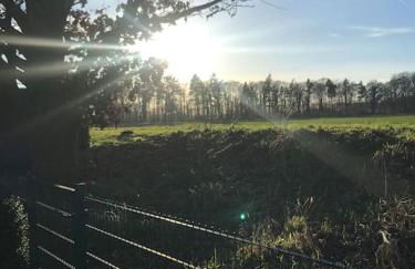 Ferienhaus direkt an der Hase - Foto 16