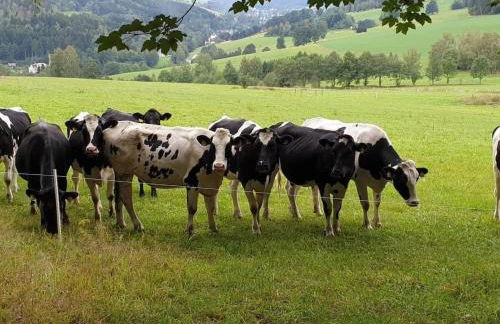 Apartment Appartement mit Blick auf das Wasser by Interhome - Foto 25