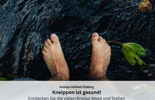 Ferienwohnungen Sauerland und Olsberg - Foto 47