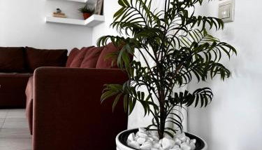 Villa Evita - Sea View Apartment by Kostas - Foto 3