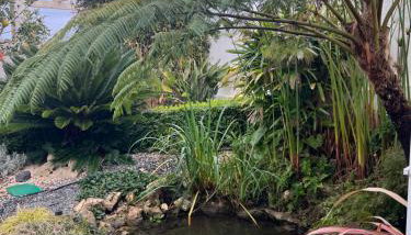 Casa Sardine - Foto 4, Garden