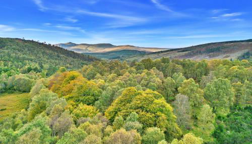 Finest Retreats - Cosagach Falls Cabin - Foto 5