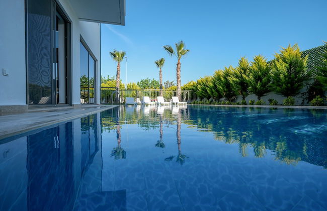 Eden Nest Exclusive - Foto 66