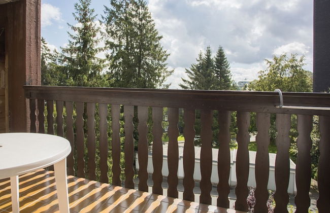 Apartment mit Balkon Nahe am Erlebnisberg Kappe - Foto 20