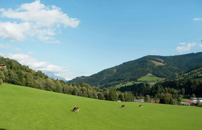 Animal -friendly Apartment in Leogang - Foto 26