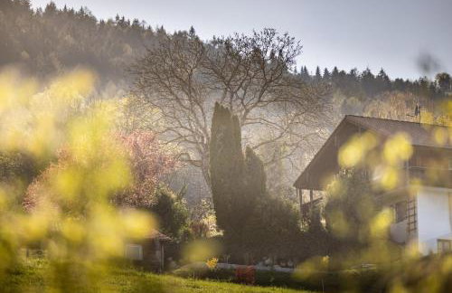 Haus Vogl Anger - Ferienwohnungen mit privater Sauna und beheizten Salzwasser Pool in Panoramalage und Nähe zu Salzburg und Berchtesgaden - Foto 9