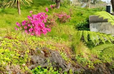 Casa da Petra - Photo 2