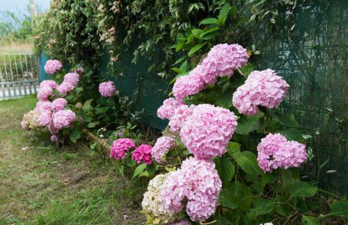 Los Candiles - Foto 31